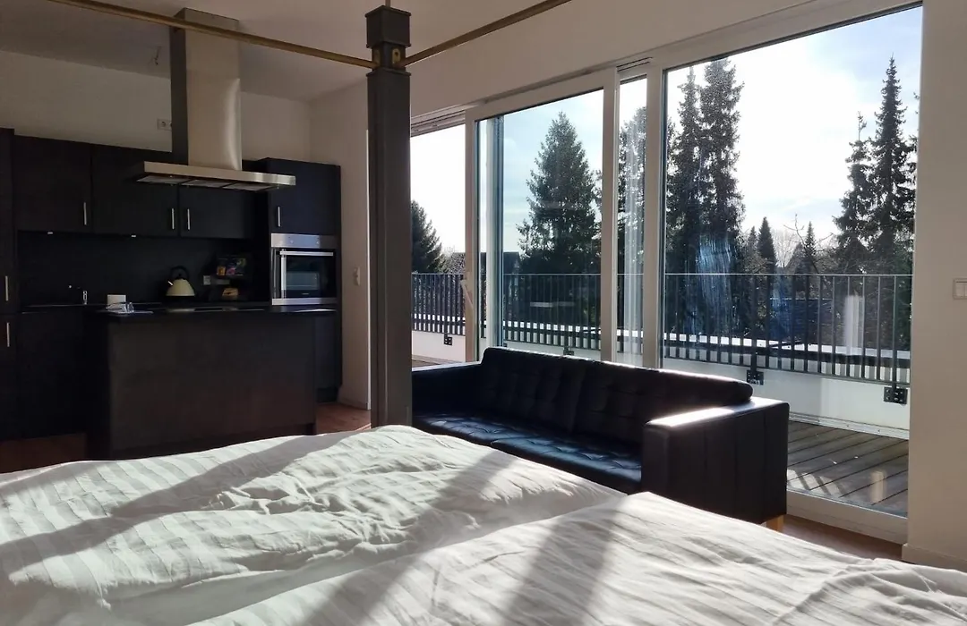 Stylische Penthouse Wohnung-1